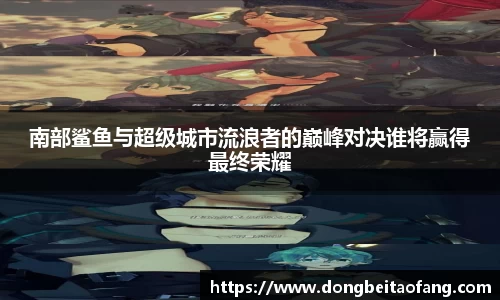 南部鲨鱼与超级城市流浪者的巅峰对决谁将赢得最终荣耀